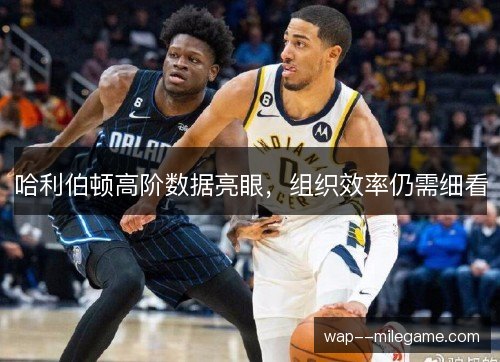 哈利伯顿高阶数据亮眼,组织效率仍需细看 哈利伯顿高阶数据亮眼,组织效率仍需细看